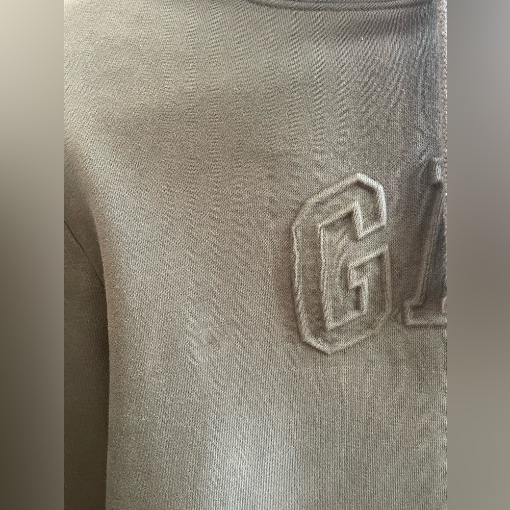 GAP Logo Hoodie Sweatshirt - Slate Green - Picture 11 of 11
